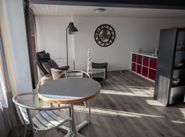 Magnifique studio de plain-pied, penginapan layan diri di La Chaux-de-Fonds