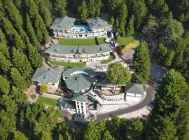 Royalpine Rosastays Kasauli