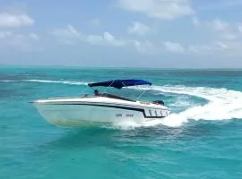 Sunny Boat Tours