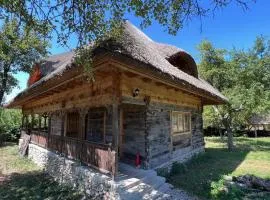 Casa cu Stuf - Căsuță de Poveste cu Acoperiș de Stuf Refugiu Rustic și Modern în Natură lângă pârâu Loc de joaca pentru Copii Parcare Foișor