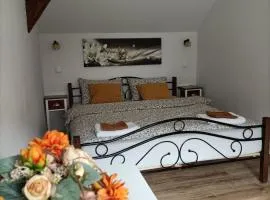 Apartamenty w Stodole