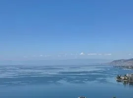 Vue époustouflante à Montreux