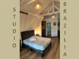 Studio BRAZILIA Bois et Nature, terrasse avec vue sur les Pitons