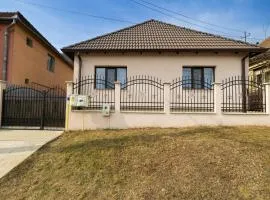 Casa Vultur
