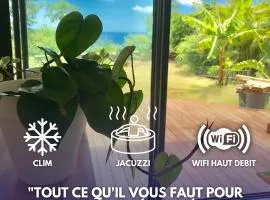 Le Bleu Horizon - T2 - Jacuzzi - Vue mer