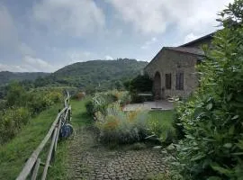 la villa bella vista