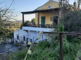 Carl's Veranda