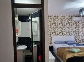 Apartament Vintage