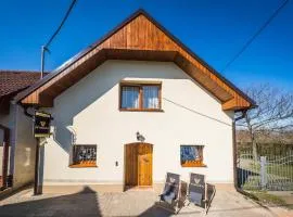 Vinoza - ubytování a vinný sklep Moravský Žižkov