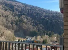 Splendid view Sinaia