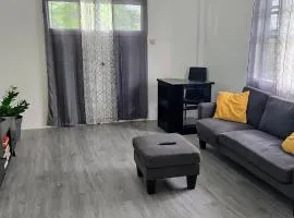 Amiah's Residence - Spacious two bedroom apartment in St George
