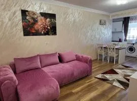 Aly Apartaments Suceava