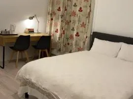 Spacious Room in Elephant and Castle