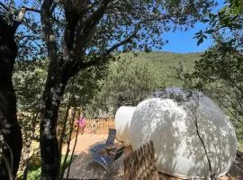 Bulle du Fangu