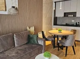 Apartman SAN Titova vila