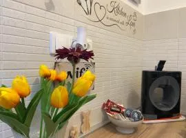 Szeged Sunshine Apartman