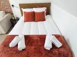 Les Briques Rouges, Appartement Béthune