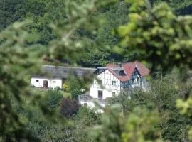 Ferienwohnung In Waldbreitbach Mit Whirlpool