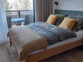 Modern Alpine Apartment Corso Harrachov