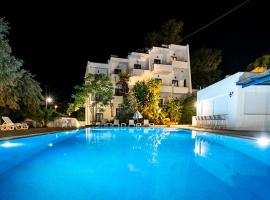 Athina Studios, Hotel in Vathí