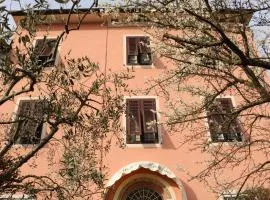 Angelini dal 1911
