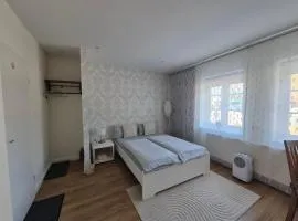 Gemütliche Einzimmerwohnung
