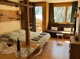 Studio Bellevue 1, ski lift 350m, hotel v destinaci Zinal