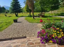 Casa-Dorina