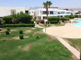 الدوليه للتسويق العقارى