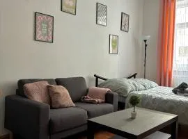 Anthony Apartment in City Center