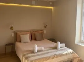 Elegant studio between train station and city center