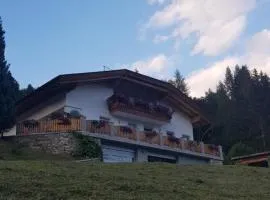 Lexhof