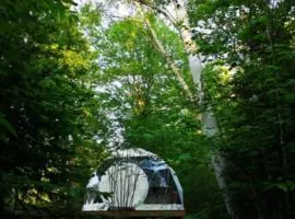Dôme Forestier - Expérience Glamping détente