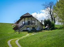 Countryside house