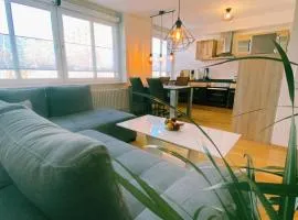 Apartment im Zentrum mit Tiefgaragen-Stellplatz