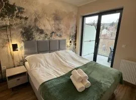 Belle View 212 Strumyk - SPA Jacuzzi & Sauna