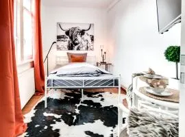 Kleines Apartment in der City