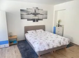 U Tonyho - Homestay Strakonice 1-kk