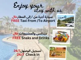 EASY CHECK-IN Cairo transit airport- taxi 24HR
