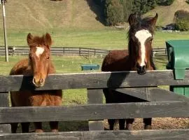 Taupo s best lifestyle vacation