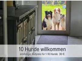 Ferienhaus Odisheim - Hunde herzlich willkommen - hoher Zaun - Terrasse mit Überdachung - familienfreundlich