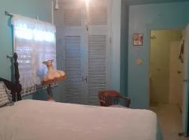 Aunt Lils Cottages