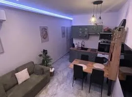 Montargis Apartment