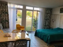 Grand studio jardin et piscine Coeur St-Martin