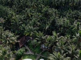 Crystal Bay Villa, отель в городе Нуса-Пенида