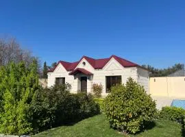 2 Home 3Bedroom Shuvalan dacha villas near the Sea pool terrace barbecue