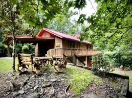Awesome Comfy Cabin with Jacuzzi, Game Room and Screened Porch in Georgia