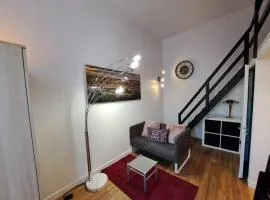 Studio cosy entièrement rénové à deux pas de Lyon