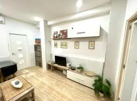 Rosaleda Centro Apartamento