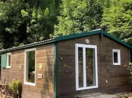 Lake View Cabin
